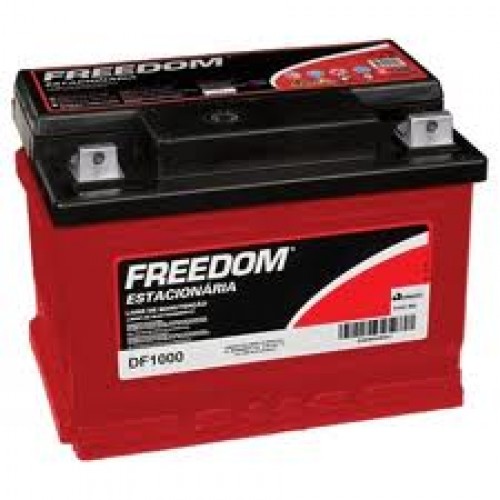 Freedom DF1000 12V 70AH