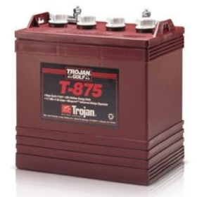 Trojan T-875 8V 170 Ah