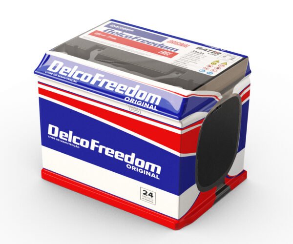 Bateria Delco freedom DFTF45D